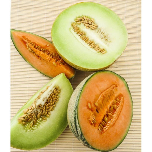 01130  -  Melonenkerne klein (Cantaloupe) 300g