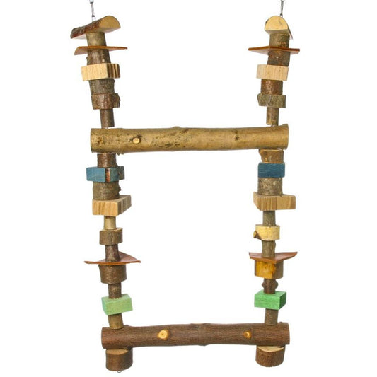 MG1227  -  Papageien Doppelschaukel