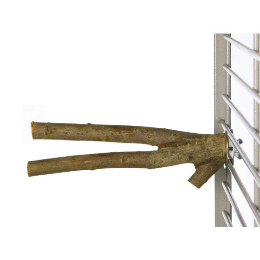 MG1258  -  Natur Sittich Sitzast verzweigt