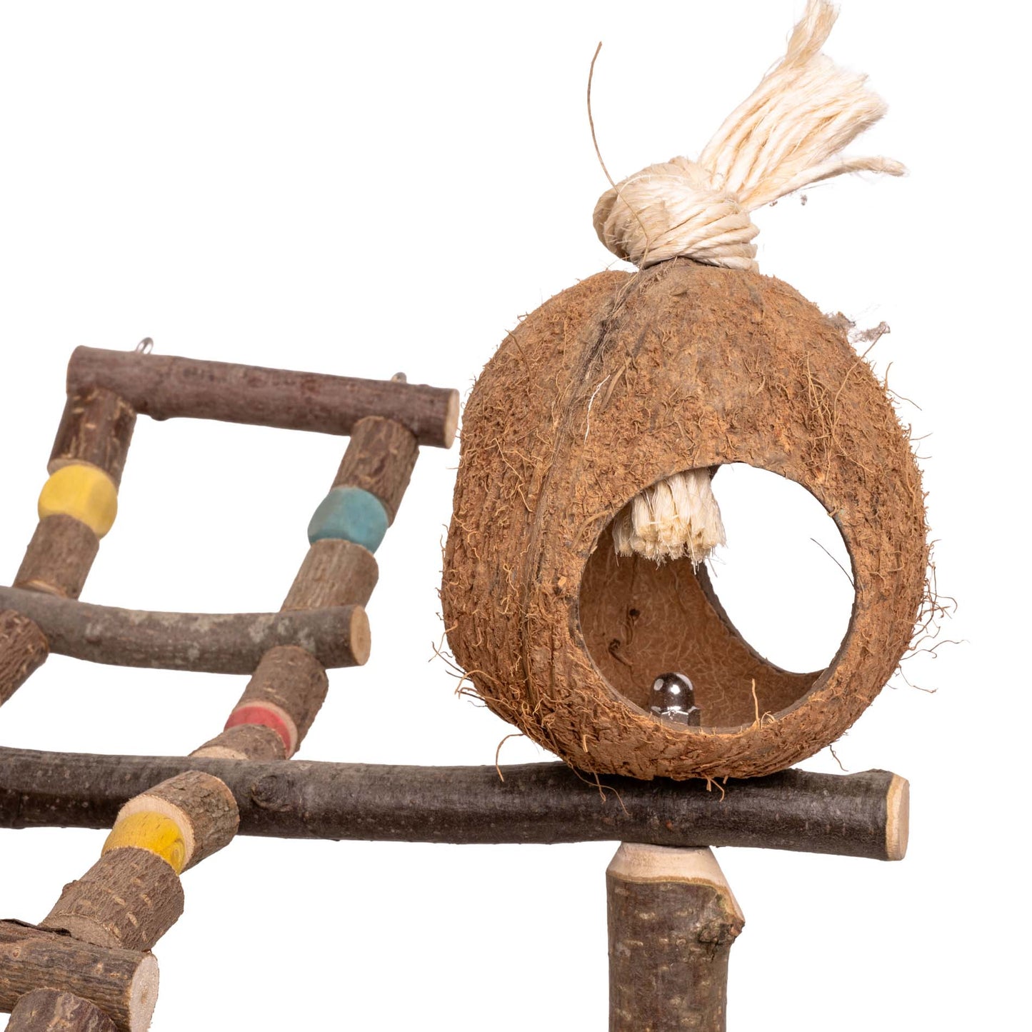 Kletter-Spielplatz – für Sittiche