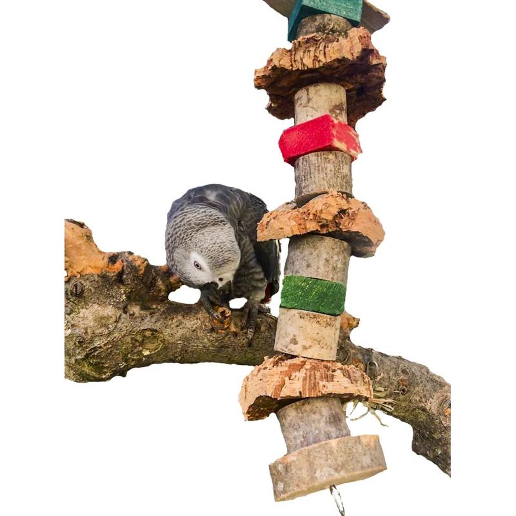 Nature-Wood-Kork-Knabberkette – Papageienspielzeug