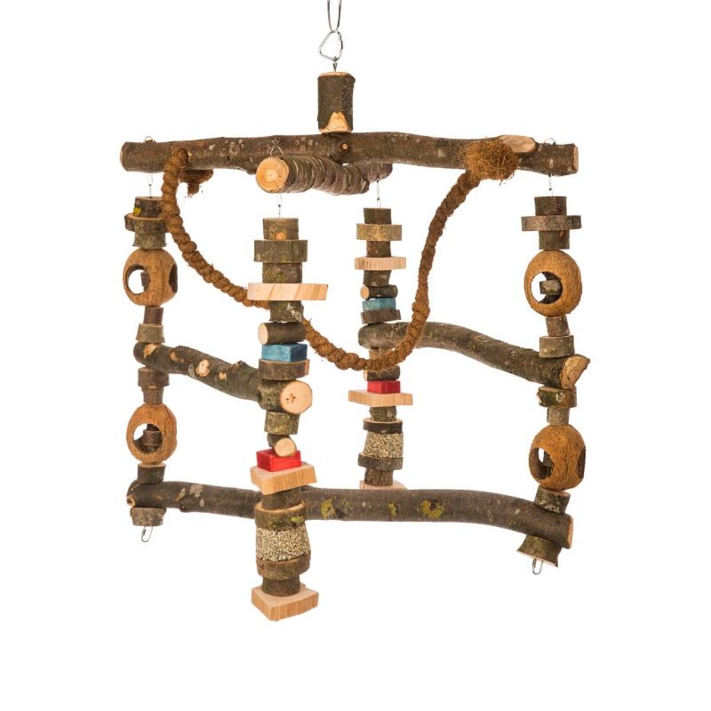 MG1339  -  Ara Jumbo Schaukel Freisitz