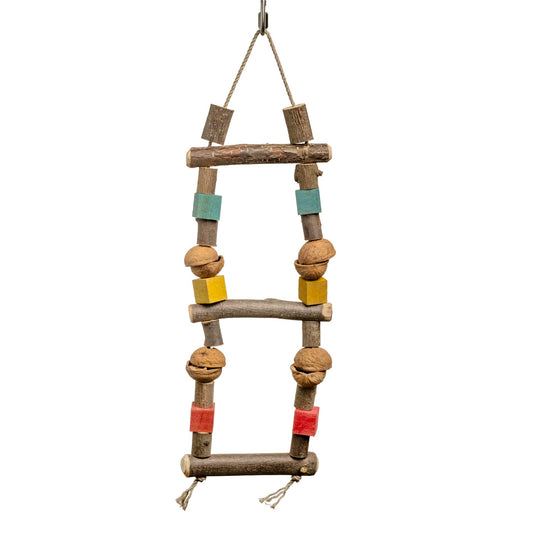 Sittich-Schaukel Walnuss Mini – Kletter- und Knabbervergnügen für kleine Vögel – Papageienspielzeug