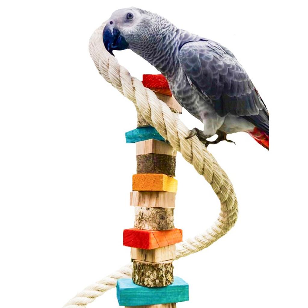 Sisalspirale mit Holzspielzeug – Papageienspielzeug
