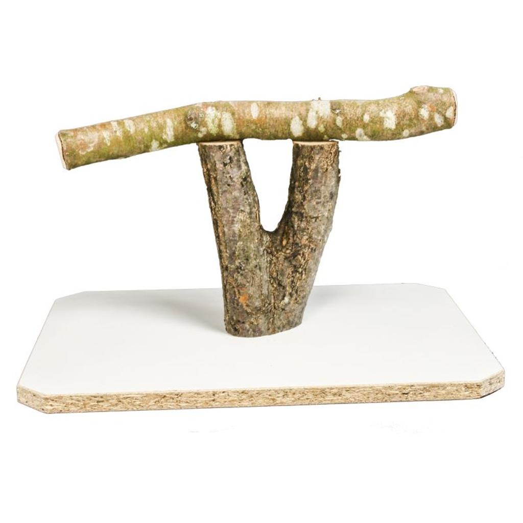 MG1423  -  Papageien Freisitz groß