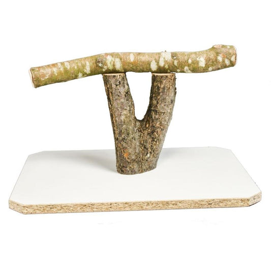 MG1423  -  Papageien Freisitz groß