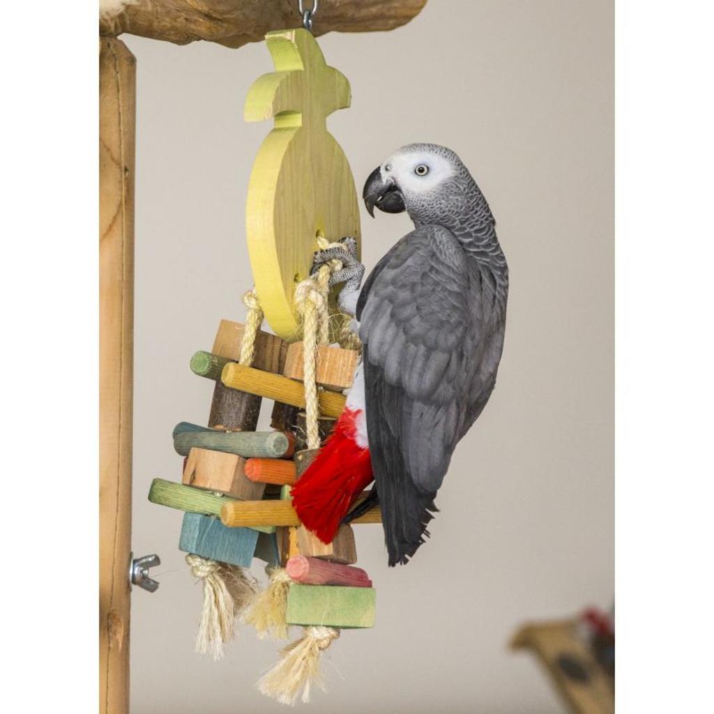 Knabber-Ananas Medium– Papageienspielzeug
