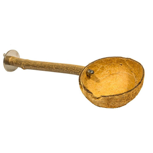 MG1664  - Sittich Futterschale aus der Kokosnuß mit