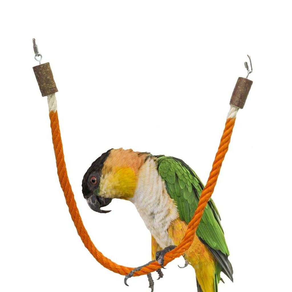 MG1714 - Sittich Sisalseil Schaukel zum Einhängen mit 2 Karabinern