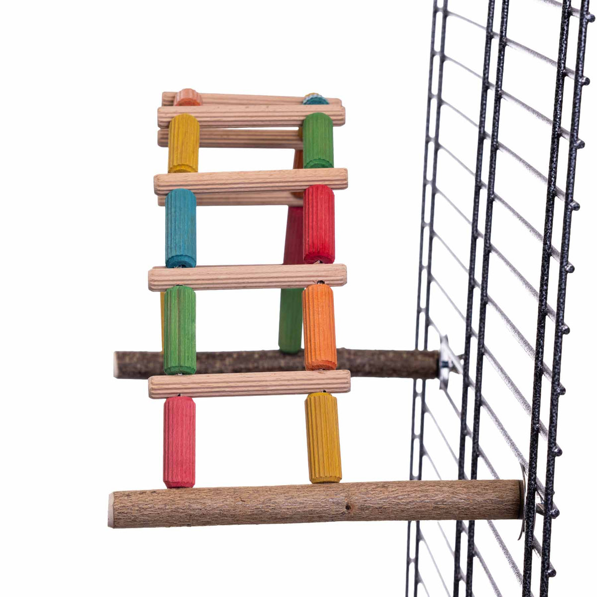 Flexible bunte Welli-Leiter aus Holz, für Wellensittiche und kleine Papageien