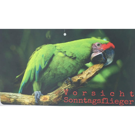 FO3-VS  -  Kunststoffschild 'Vorsicht Sonntagsflieger'