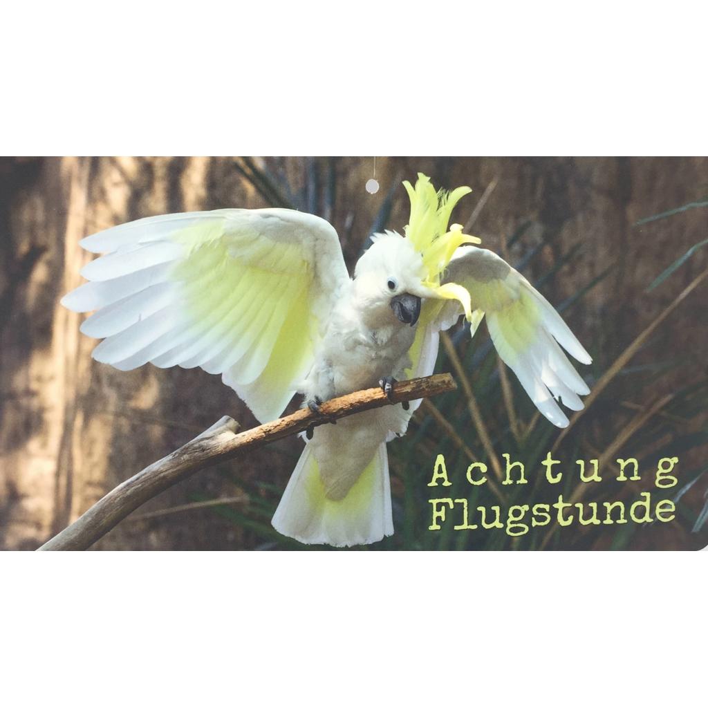 FO3-AF - Kunststoffschild 'Achtung Flugstunde'