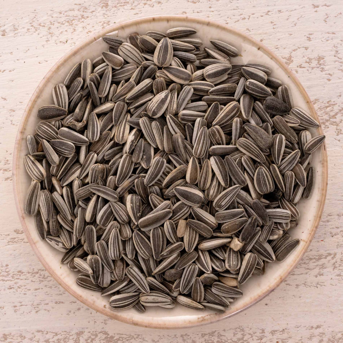 Sonnenblumenkerne (gestreift) – Vogelfutter