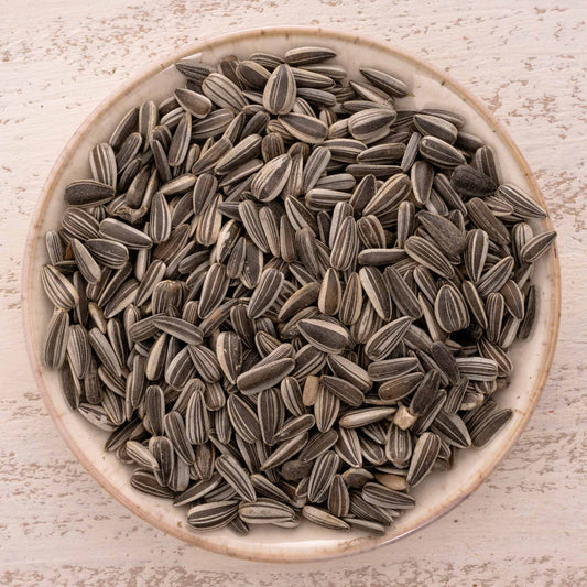 Sonnenblumenkerne (gestreift) – Vogelfutter