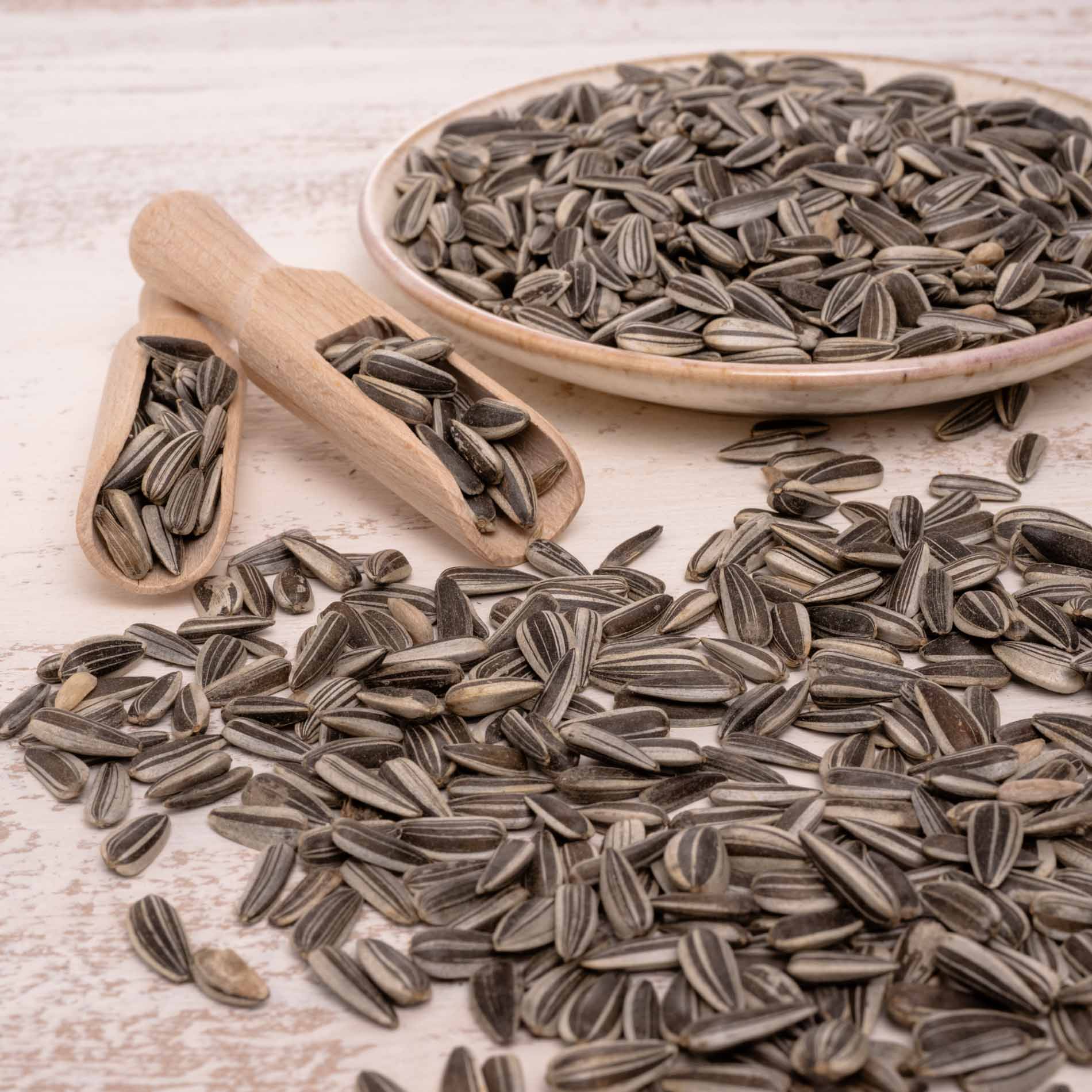 Sonnenblumenkerne (gestreift) – Vogelfutter