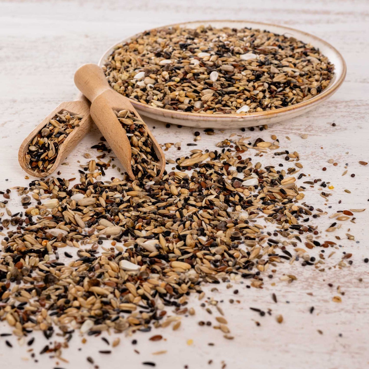 Waldvogel Spezial – hochwertige Wildsamen-Mischung