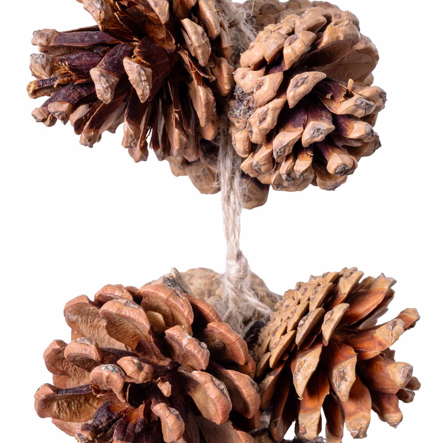 Kiefernzapfengirlande Natur *NEU*