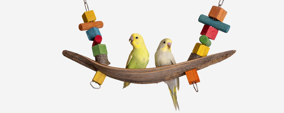 Öko-Spielzeug für Papageien und Sittiche