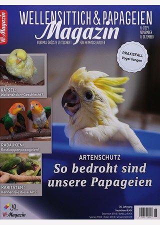 60855  -  WP - Magazin