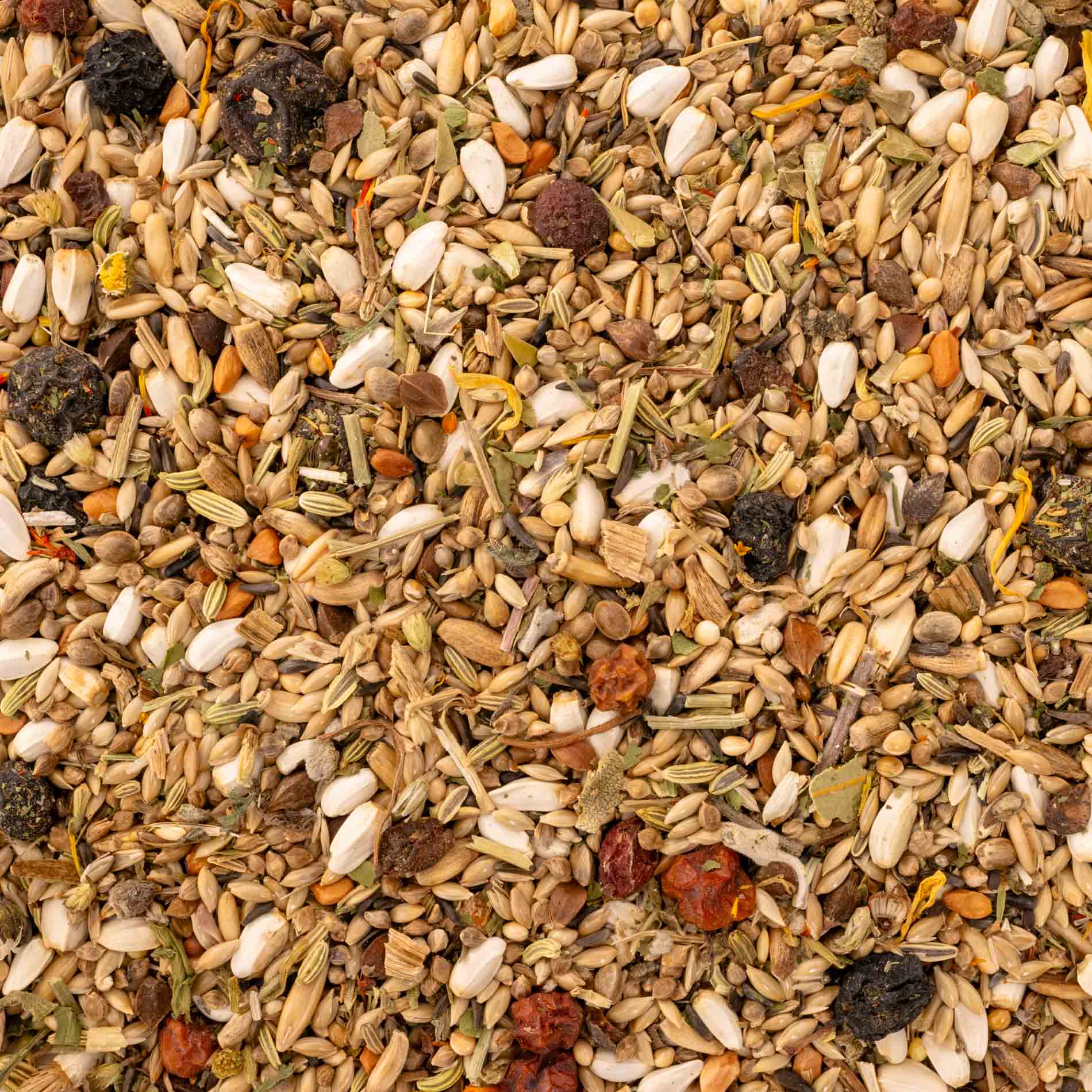 Kräuterapotheke Agaporniden – hochwertiges Futter für Agaporniden mit Kräutern & Beeren