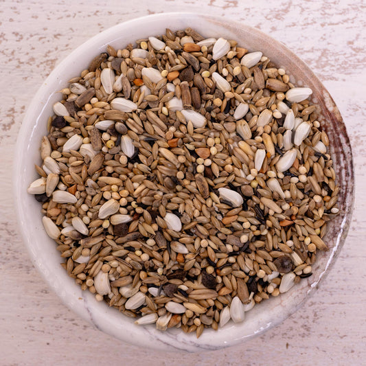 Körnermischung Agaporniden – hochwertiges Sittichfutter für Agaporniden