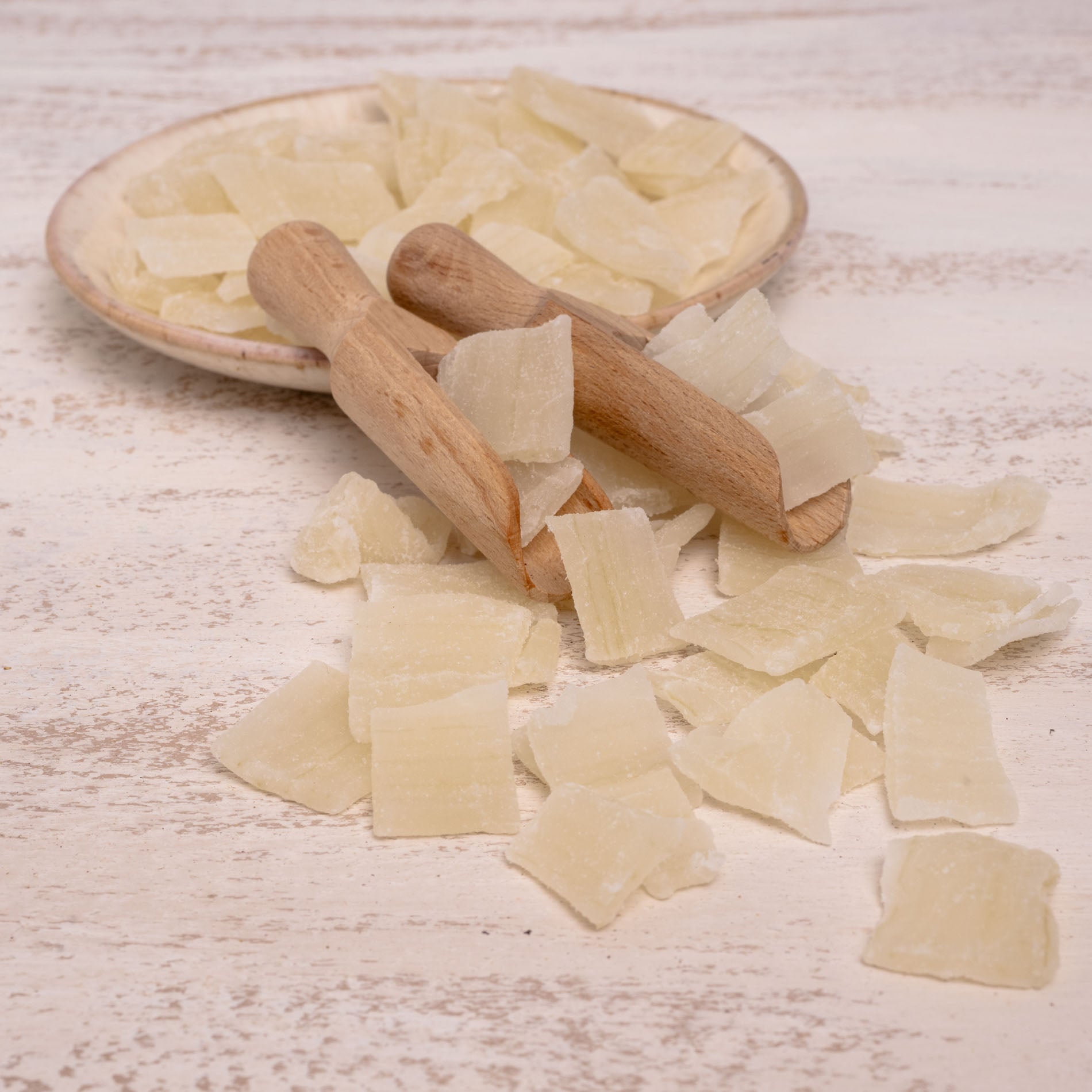 Aloe Vera – Papageienfutter