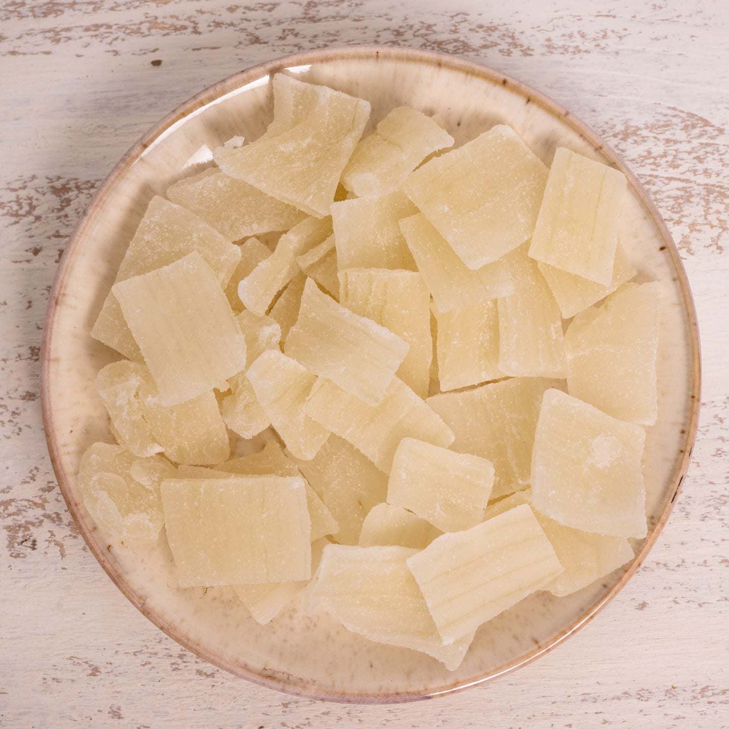 Aloe Vera – Papageienfutter