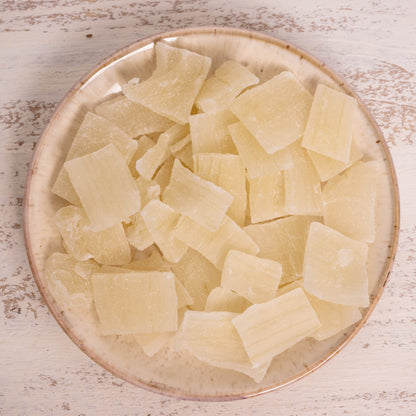 Aloe Vera – Papageienfutter