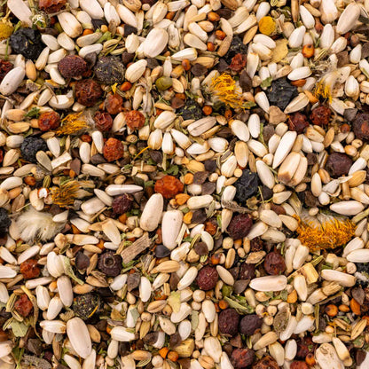 Kräuterapotheke Amazonen & Kakadus – Papageienfutter mit gesunden Kräutern