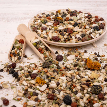 Kräuterapotheke Amazonen & Kakadus – Papageienfutter mit gesunden Kräutern