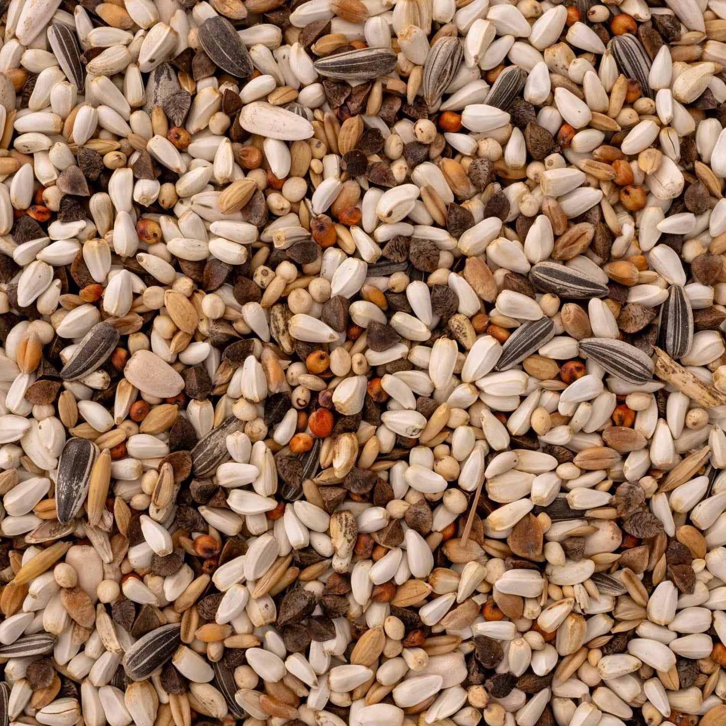 Papageienfutter für Amazonen & Kakadus – hochwertige, fettarme Körnermischung