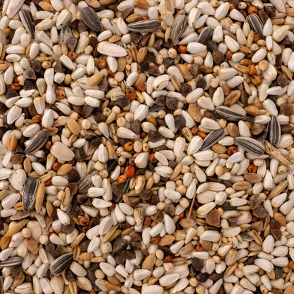 Papageienfutter für Amazonen & Kakadus – hochwertige, fettarme Körnermischung