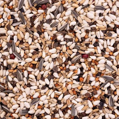 Papageienfutter für Amazonen & Kakadus – Körnermischung