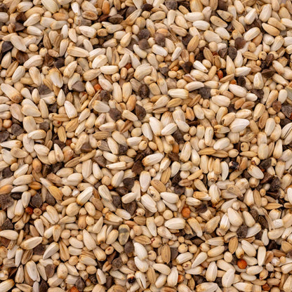 Amazonen Vital – fettreduziertes Papageienfutter für Amazonen & Kakadus