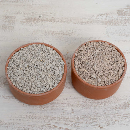 Picking Pot für Papageien ca 500 g