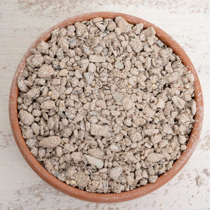 Picking Pot Coral für Papageien ca. 500g (flach)
