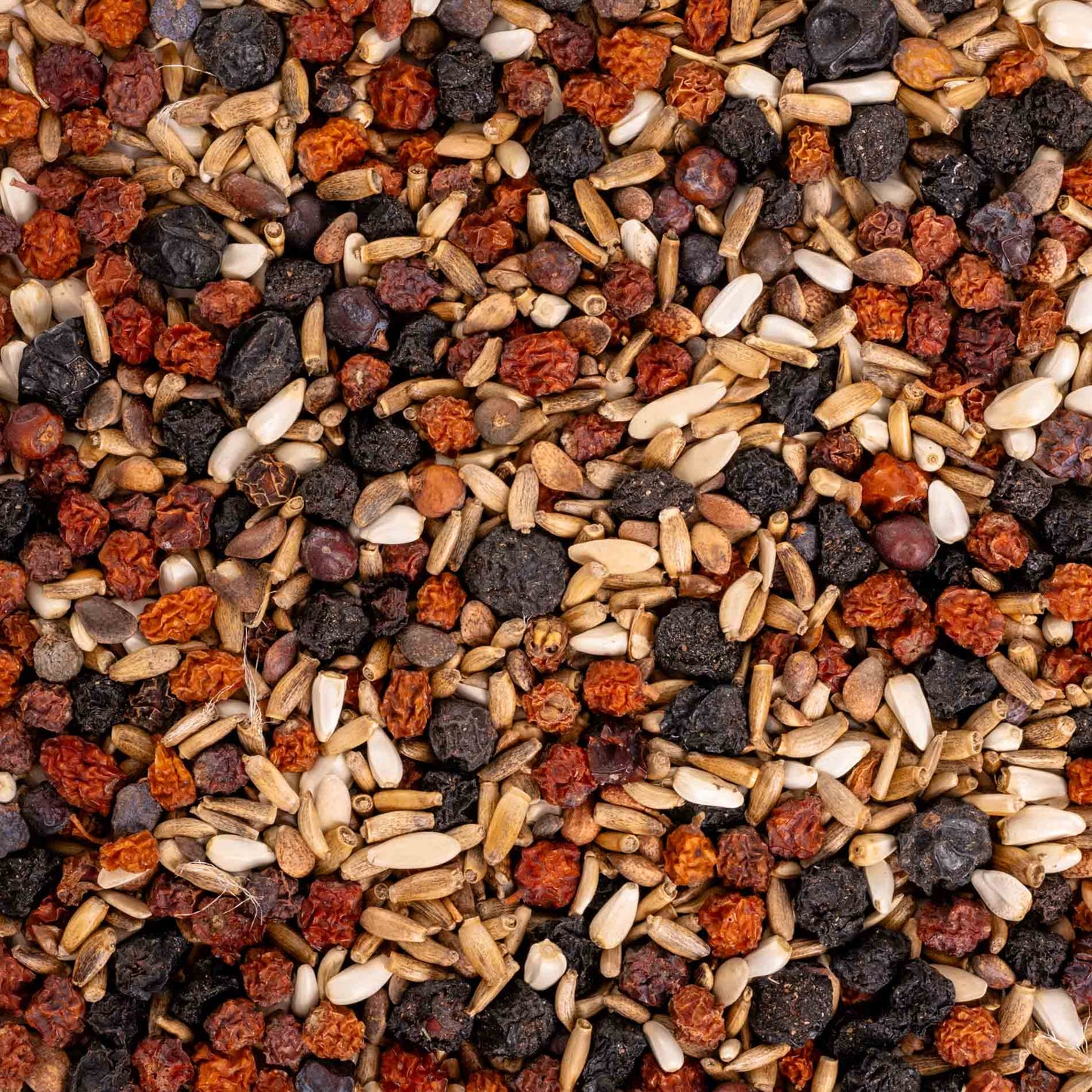 Baumsaat Spezial – Sämereien- & Beerenmischung – natürliche Ergänzung für Papageien &  größere Sittiche