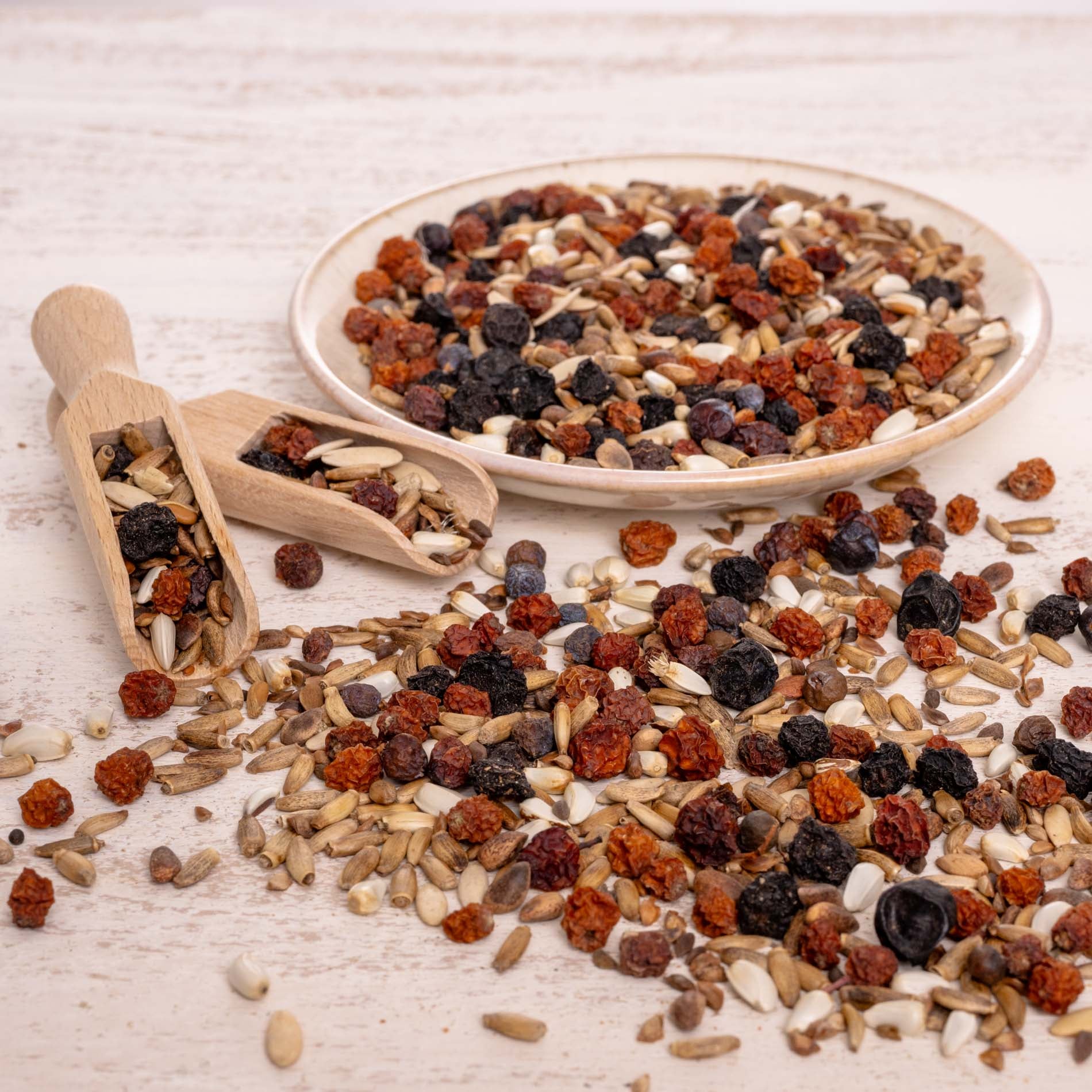 Baumsaat Spezial – Sämereien- & Beerenmischung – natürliche Ergänzung für Papageien &  größere Sittiche