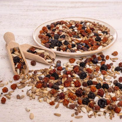 Baumsaat Spezial – Sämereien- & Beerenmischung – natürliche Ergänzung für Papageien &  größere Sittiche