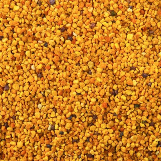 Blütenpollen von Wald- und Wiesenblüten – Papageienfutter-Zusatzfuttermittel
