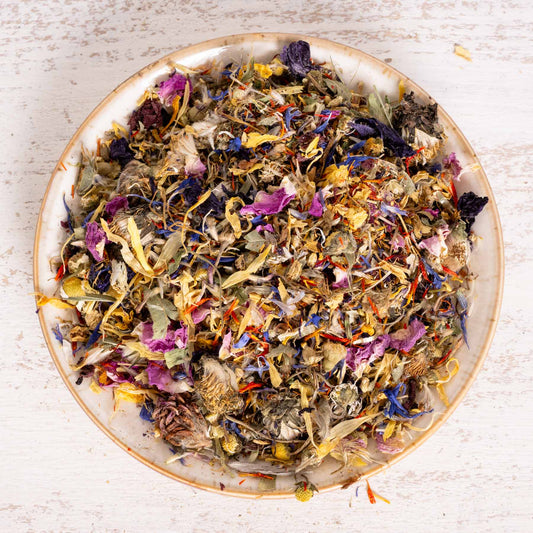 Sommertraum Blütenmix – Papageienfutter, Sittichfutter