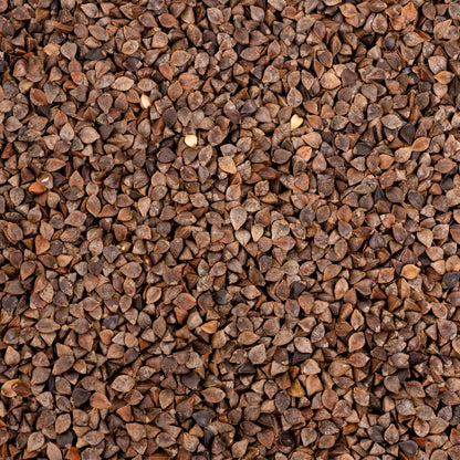 Buchweizen – Papageienfutter