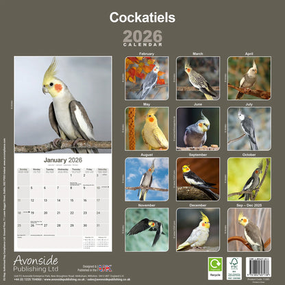 Kalender Nymphensittich 2026