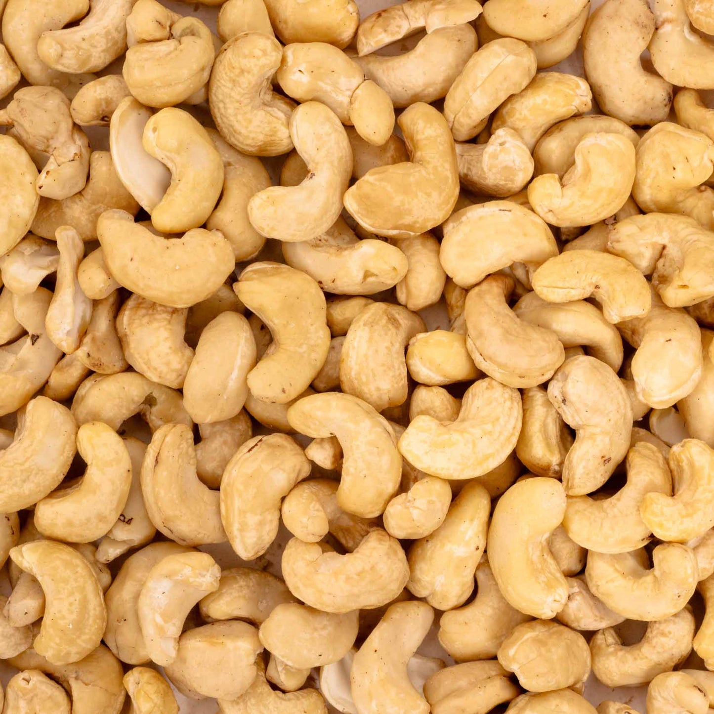 Cashewkerne – Papageienfutter