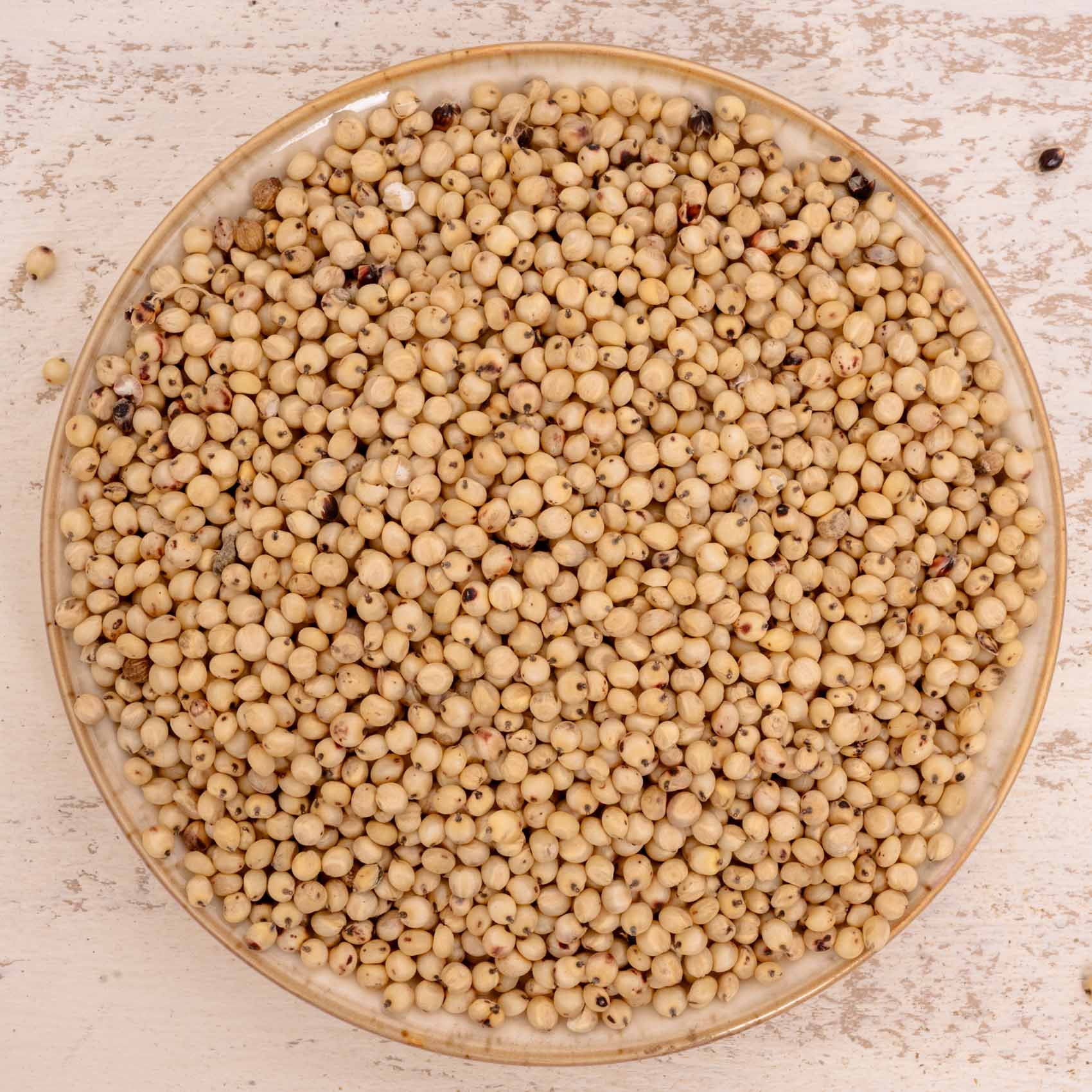 Dari (weiß) – weiße Sorghum – Papageien- & Sittichfutter