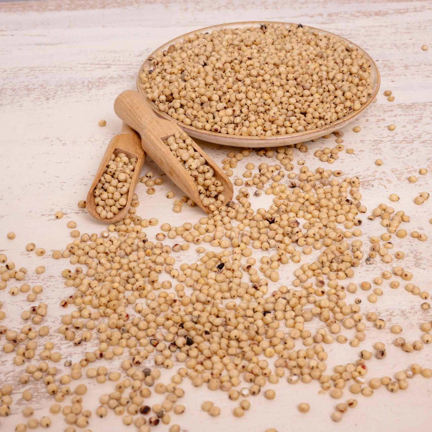 Dari (weiß) – weiße Sorghum – Papageien- & Sittichfutter