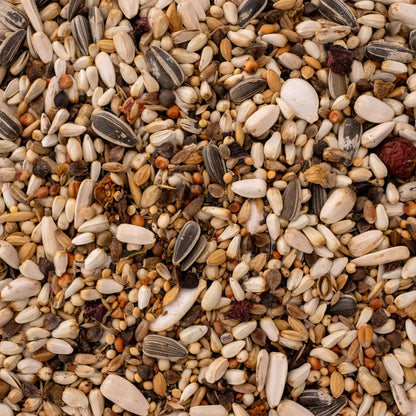 Edelpapagei-Körnermischung – Premium-Futtermischung mit Gemüse