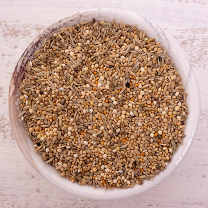 Exotenfutter – ausgewogene Körnermischung für kleine Exoten