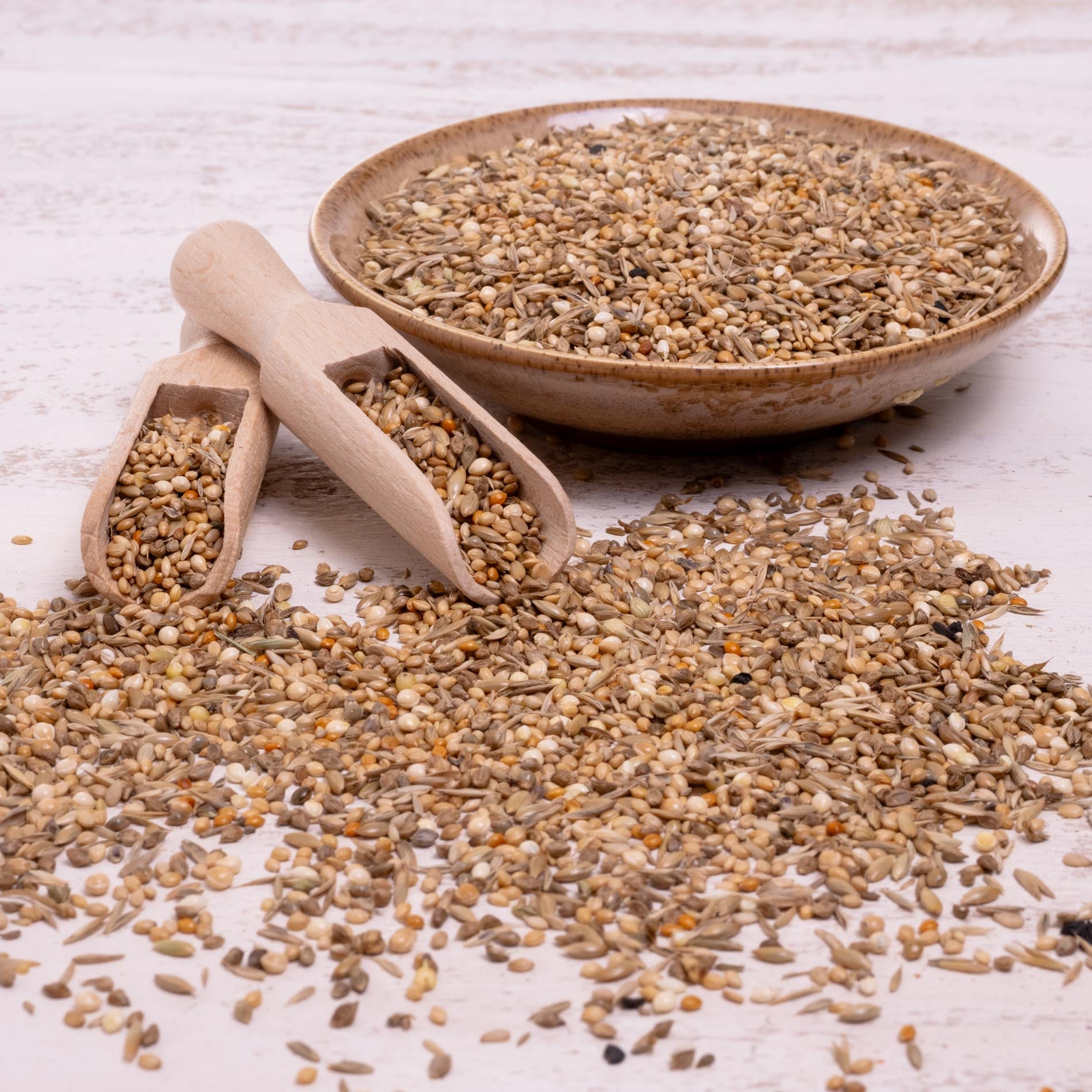 Exotenfutter – ausgewogene Körnermischung für kleine Exoten