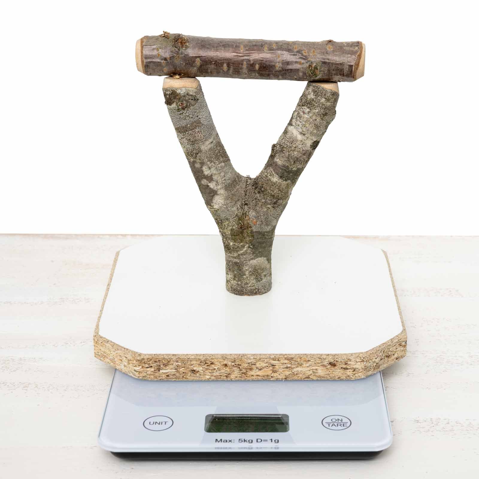 Freisitz zum Wiegen von Papageien